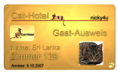 Cat-Hotel